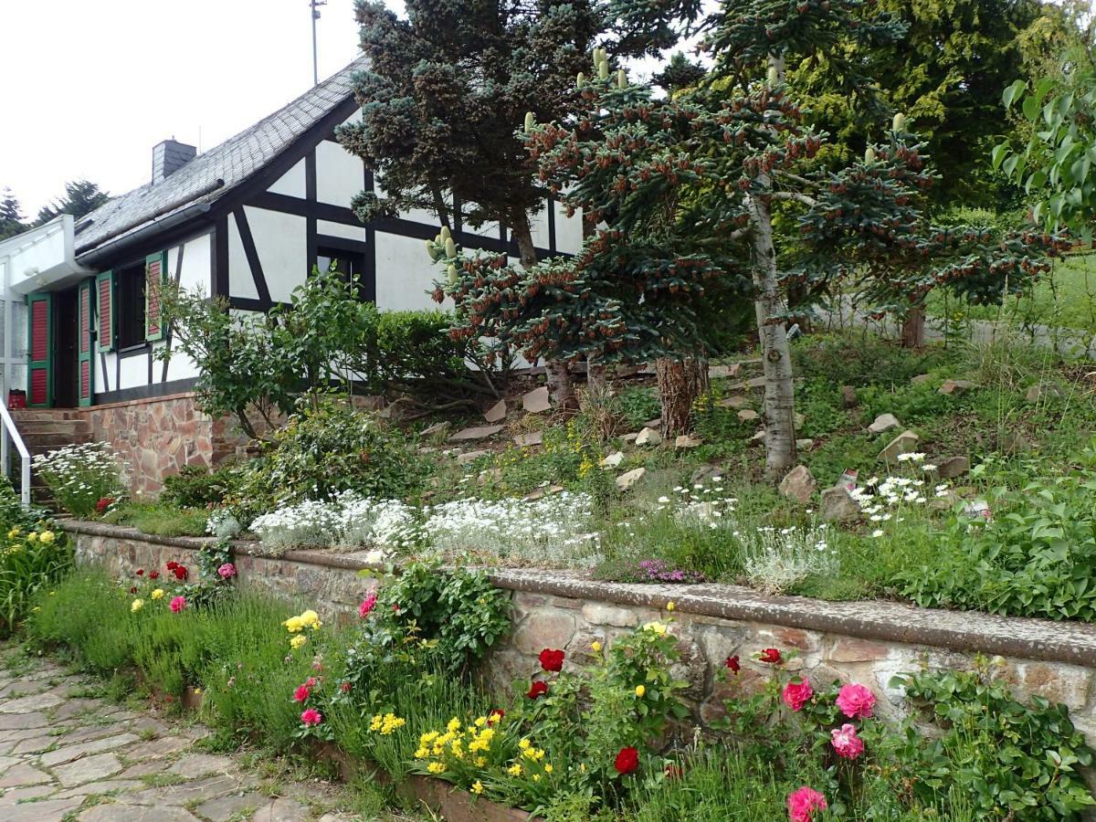 Hunsrück Ferienhaus *